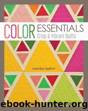 Color Essentials by Amanda Murphy