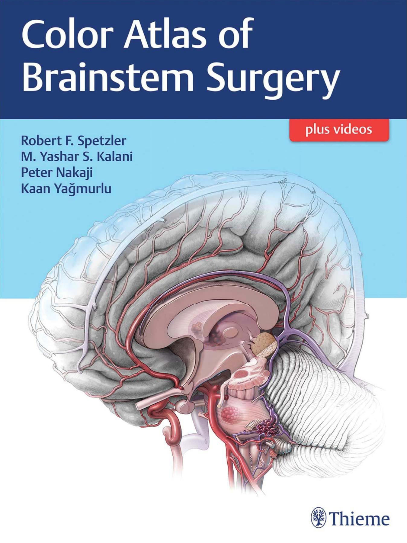Color atlas of brainstem surgery by unknow