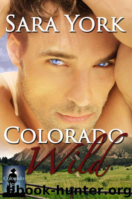 Colorado Wild - Colorado Heart 1 by York Sara