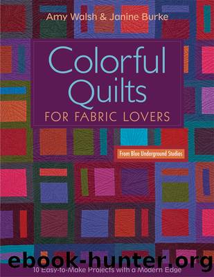 Colorful Quilts for Fabric Lovers by Amy Walsh