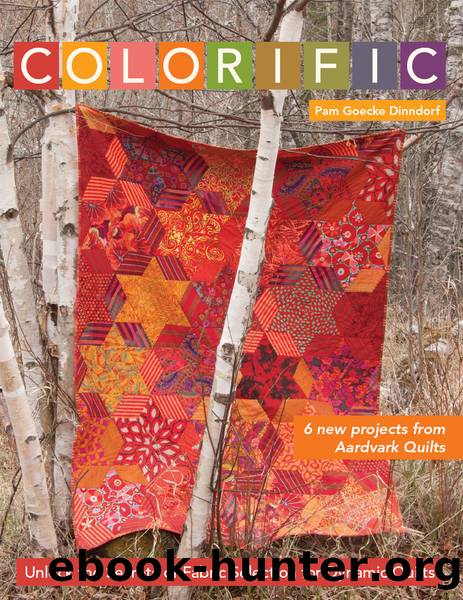 Colorific by Pam Goecke Dinndorf