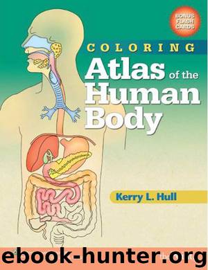 Coloring Atlas of the Human Body by Kerry Hull