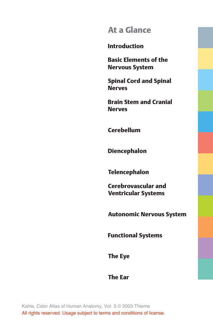 Colour Atlas and Textbook of Human Anatomy: Nervous System and Sensory Organs v. 3 by Werner Kahle Michael Frotscher Michael Frotscher Ursula Vielkind