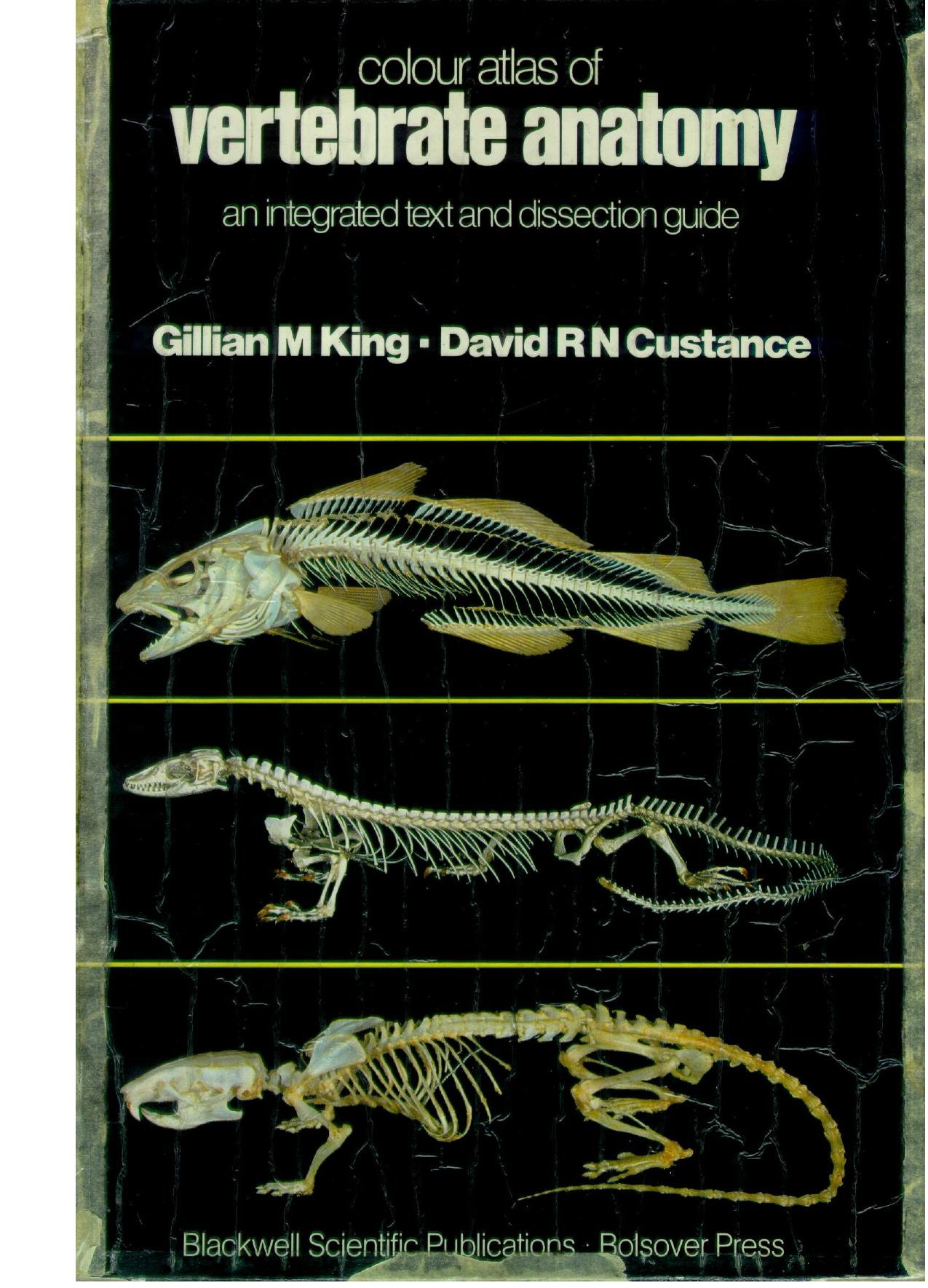 Colour Atlas of Vertebrate Anatomy: An Integrated Text and Dissection Guide by King G. Custance D