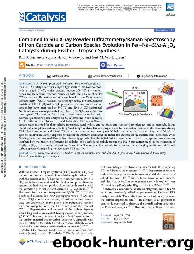 Combined In Situ X-ray Powder DiffractometryRaman Spectroscopy of Iron Carbide and Carbon Species Evolution in Fe(âNaâS)Î±-Al2O3 Catalysts during FischerâTropsch Synthesis by Pasi P. Paalanen Sophie H. van Vreeswijk & Bert M. Weckhuysen