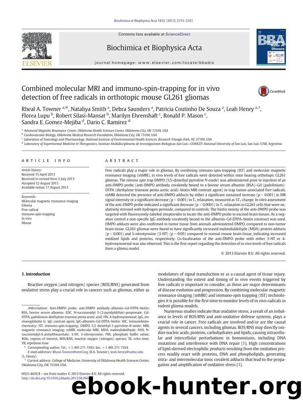 Combined molecular MRI and immuno-spin-trapping for in vivo detection of free radicals in orthotopic mouse GL261 gliomas by unknow
