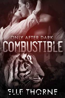 Combustible by Elle Thorne