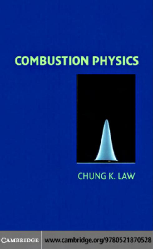 Combustion physics by COMBUSTIONE Boiler