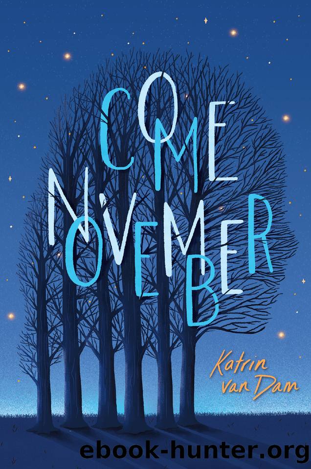 Come November by Katrin van Dam