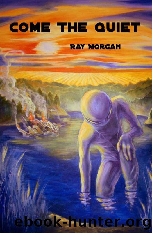 Come the Quiet by Ray Morgan
