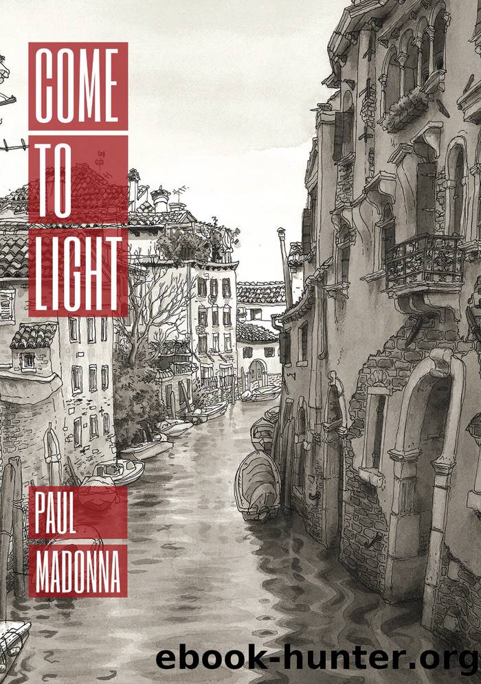 Come to Light by Paul Madonna