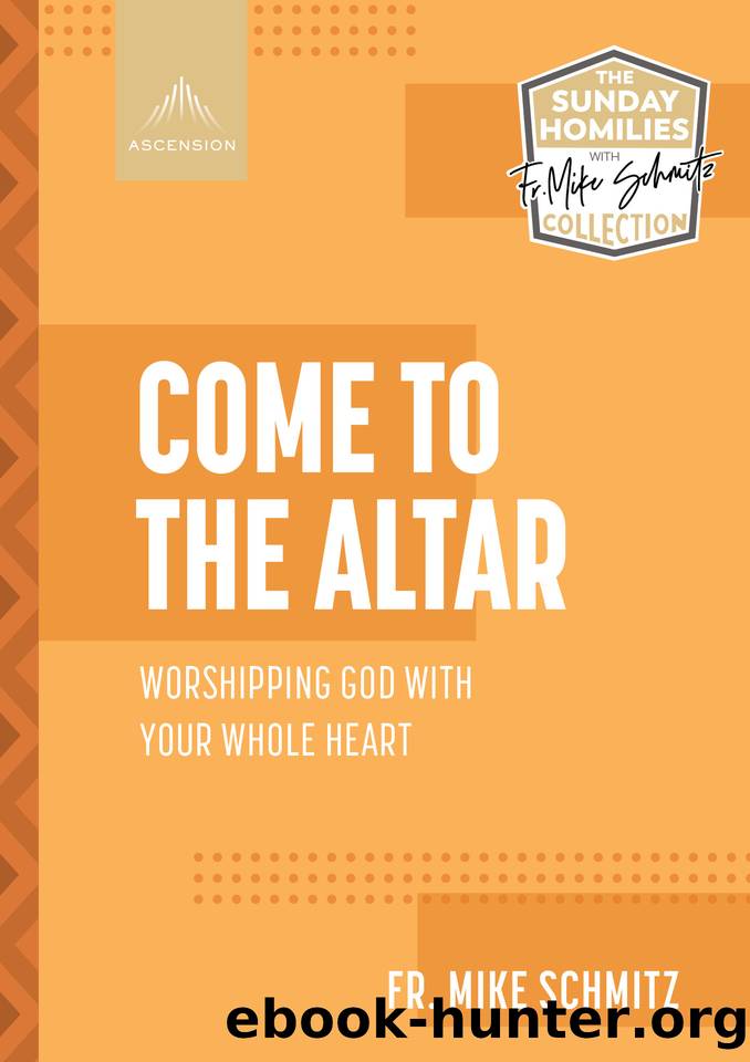 Come to the Altar: Worshipping God with Your Whole Heart (The Sunday Homilies with Fr. Mike Schmitz Collection) by Fr. Mike Schmitz