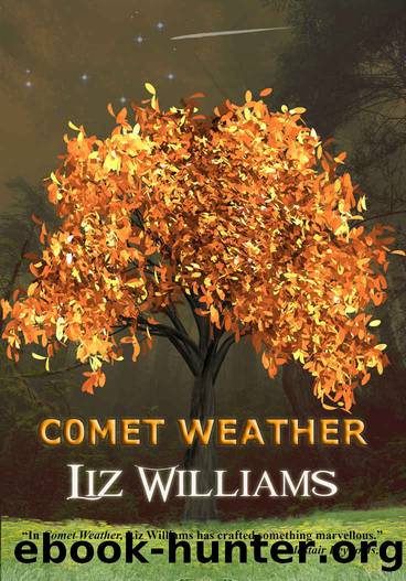 Comet Weather by Liz Williams