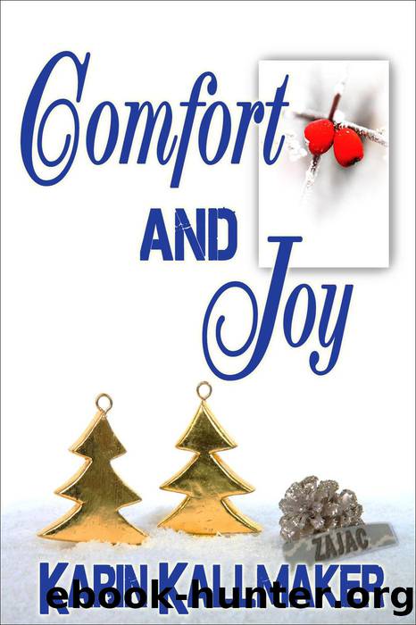 Comfort and Joy by Karin Kallmaker