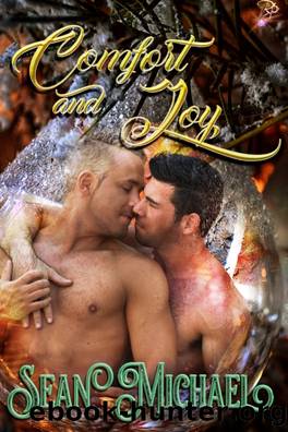 Comfort and Joy by Sean Michael
