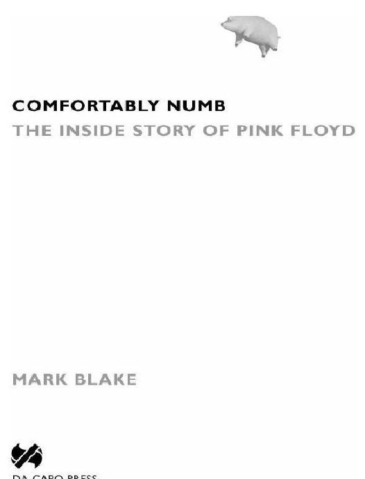 Comfortably Numb by Mark Blake
