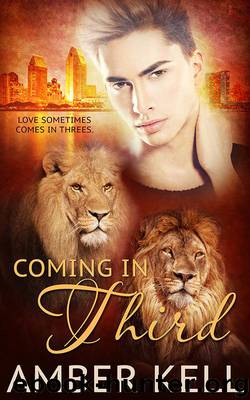 Coming in Third by Kell Amber
