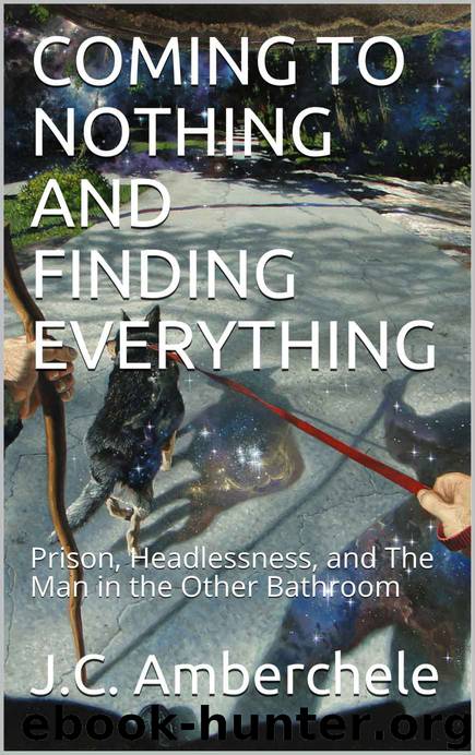 Coming to Nothing and Finding Everything by J C Amberchele