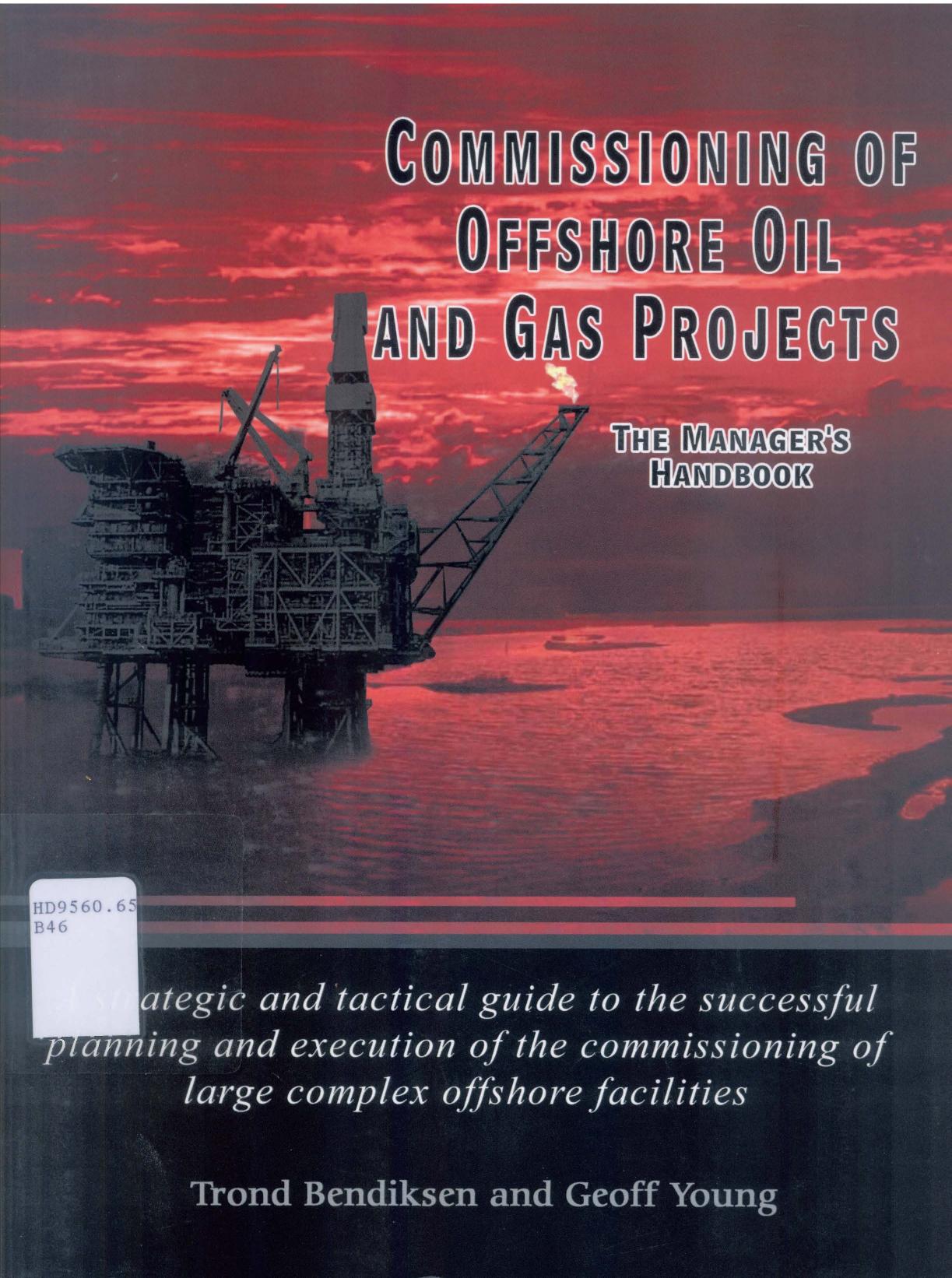 Commissioning of Offshore Oil and Gas Projects: The Manager's Handbook a Strategic and Tactical Guide to the Successful Planning and Execution of the Commissioning of Large Complex Offshore Faciliti by Trond Bendiksen