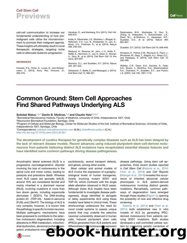 Common Ground: Stem Cell Approaches Find Shared Pathways Underlying ALS by Soledad Matus & Danilo B. Medinas & Claudio Hetz