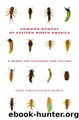 Common Nymphs of Eastern North America by Caleb J. Tzilkowski & Jay R. Stauffer Jr