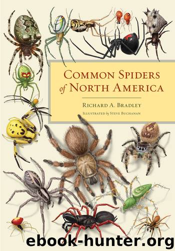 Common Spiders of North America by Richard A. Bradley
