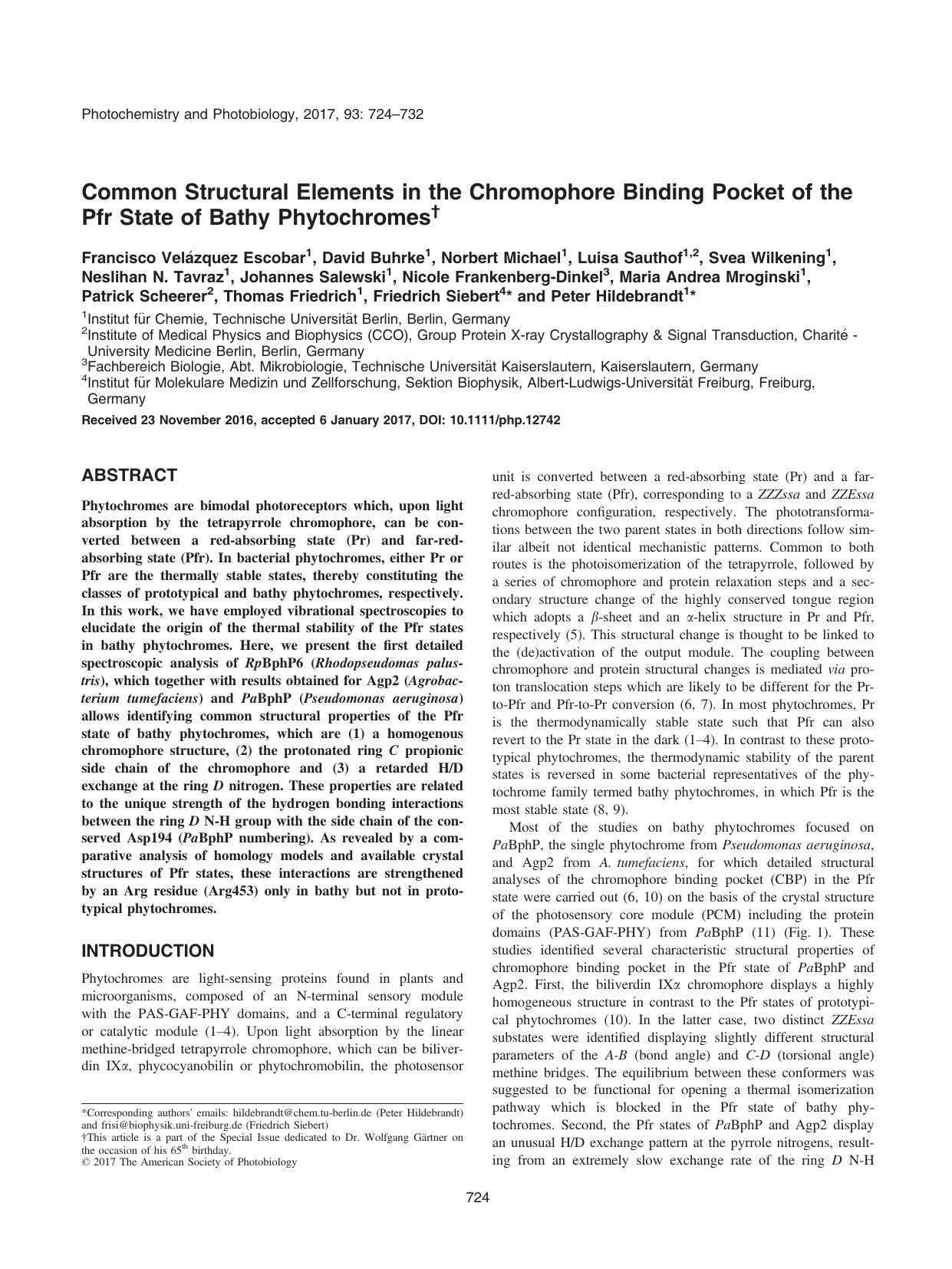 Common Structural Elements in the Chromophore Binding Pocket of the Pfr State of Bathy Phytochromes by Unknown