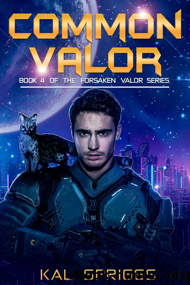 Common Valor by Kal Spriggs