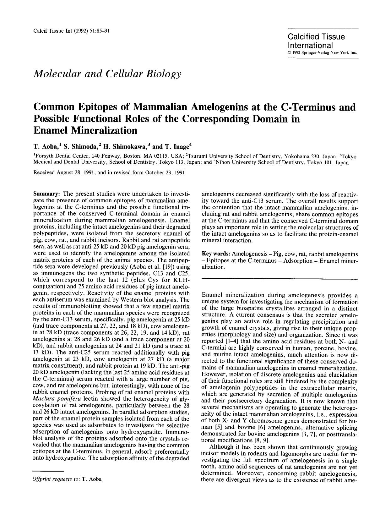 Common epitopes of mammalian amelogenins at the C-terminus and possible functional roles of the corresponding domain in enamel mineralization by Unknown