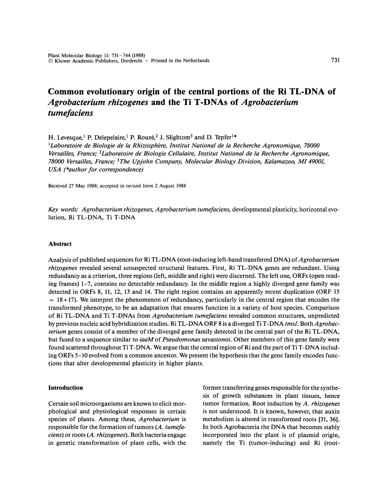 Common evolutionary origin of the central portions of the Ri TL-DNA of <Emphasis Type="Italic">Agrobacterium rhizogenes <Emphasis> and the Ti T-DNAs of <Emphasis Type="Italic">Ag by Unknown