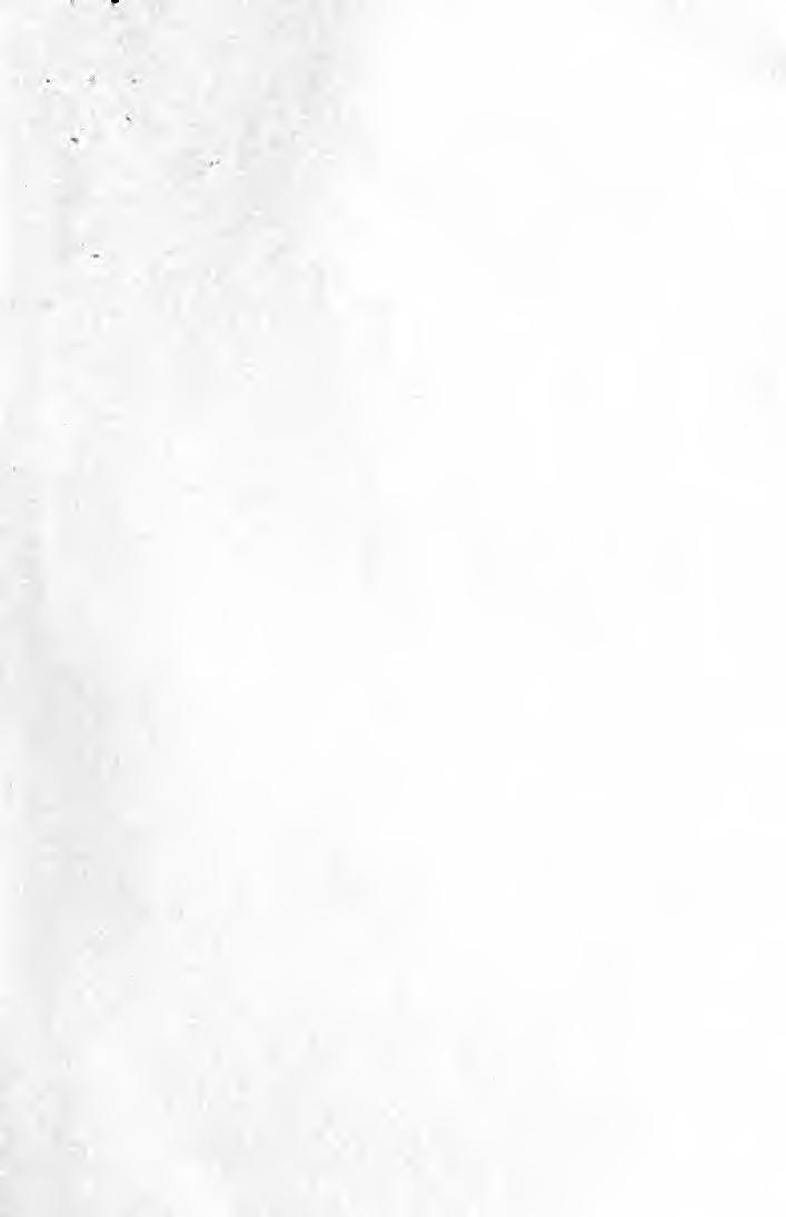 Common sense rabbit raising .. by Stahl Edward Herman