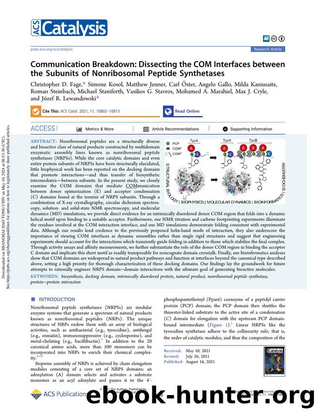 Communication Breakdown: Dissecting the COM Interfaces between the Subunits of Nonribosomal Peptide Synthetases by unknow