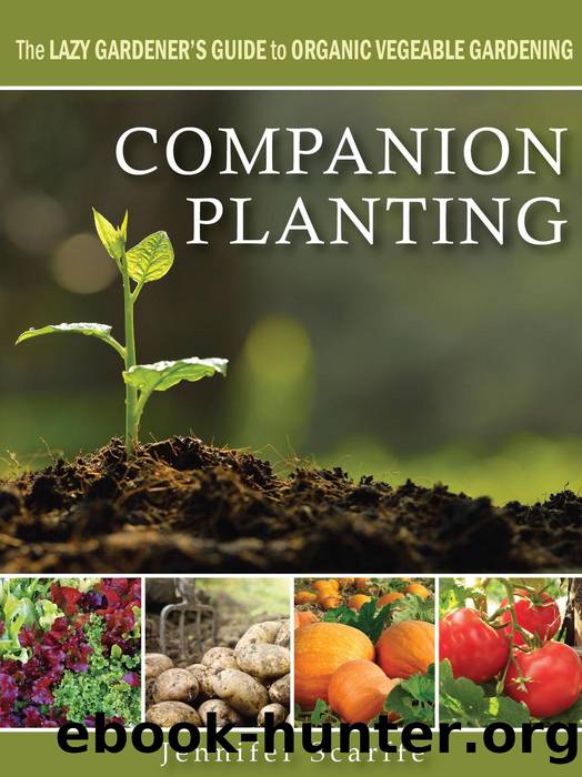 Companion Planting--The Lazy Gardener's Guide to Organic Vegetable Gardening by Jennifer Scarffe