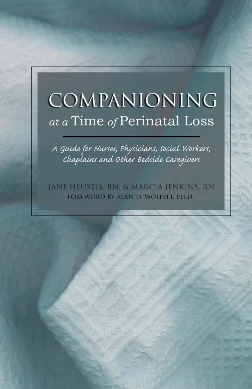 Companioning at a Time of Perinatal Loss: A Guide for Nurses, Physicians, Social Workers, Chaplains and Other Bedside Caregivers by Jane Heustis RN Marcia Meyer Jenkins RN