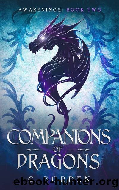 Companions of Dragons by C. Borden
