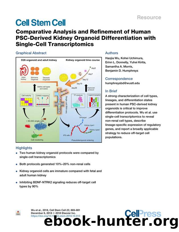 Comparative Analysis and Refinement of Human PSC-Derived Kidney Organoid Differentiation with Single-Cell Transcriptomics by unknow