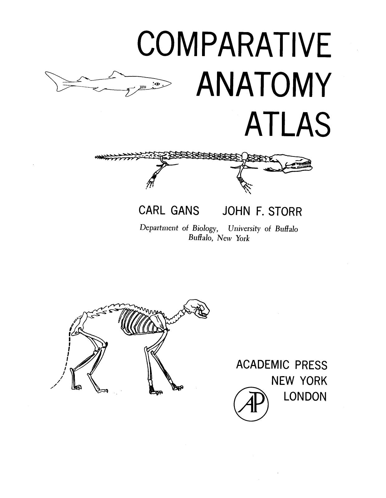 Comparative Anatomy Atlas by Carl Gans and John F. Storr (Auth.)