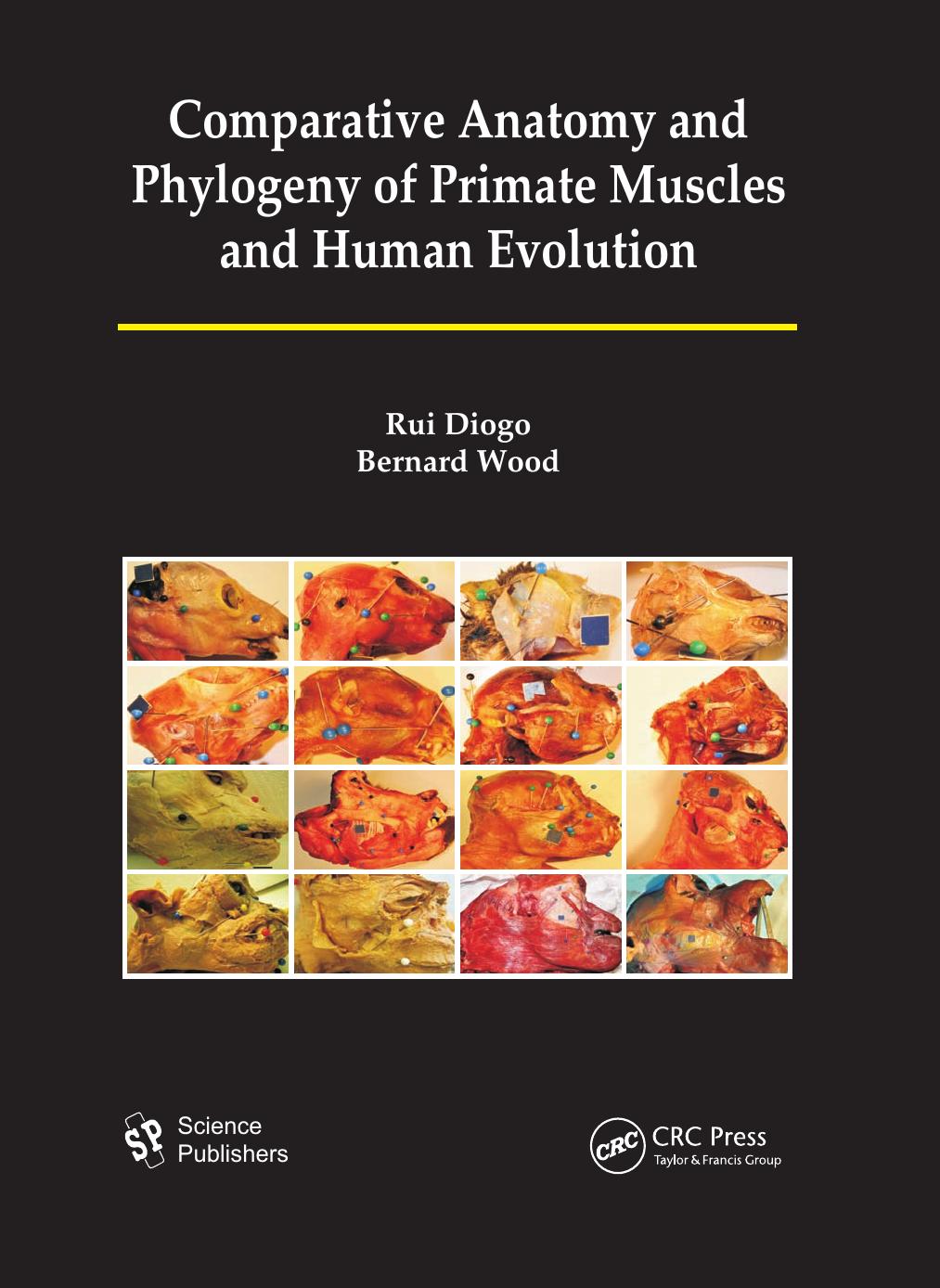 Comparative Anatomy and Phylogeny of Primate Muscles and Human Evolution by Rui Diogo and Bernard A. Wood
