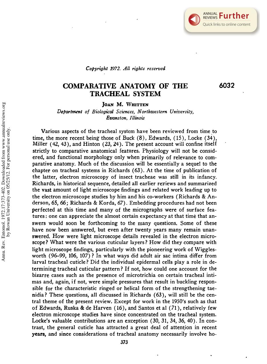 Comparative Anatomy of the Tracheal System by J M Whitten
