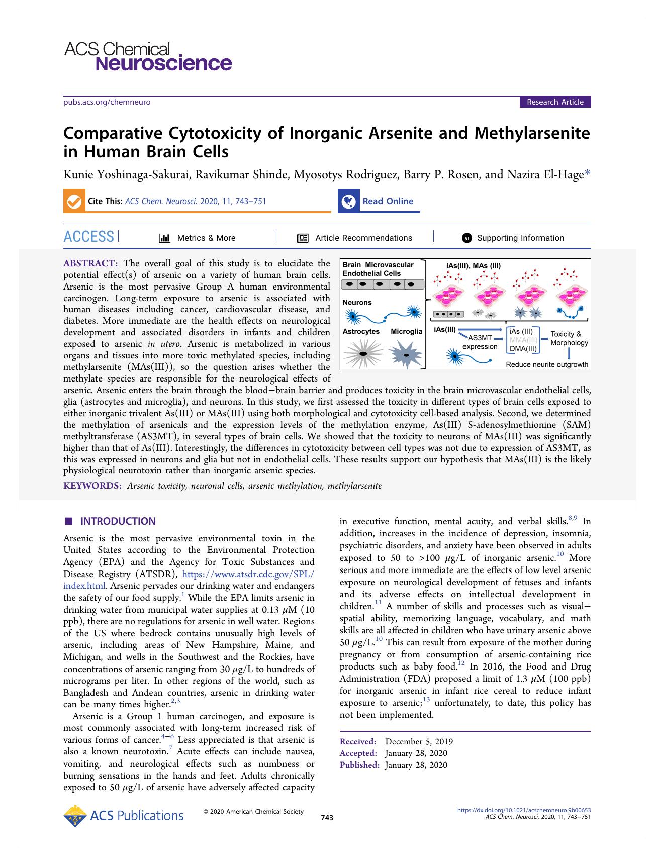 Comparative Cytotoxicity of Inorganic Arsenite and Methylarsenite in Human Brain Cells by Kunie Yoshinaga-Sakurai Ravikumar Shinde Myosotys Rodriguez Barry P. Rosen and Nazira El-Hage