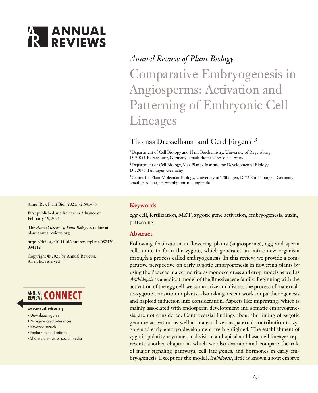 Comparative Embryogenesis in Angiosperms: Activation and Patterning of Embryonic Cell Lineages by Thomas Dresselhaus and Gerd Jürgens