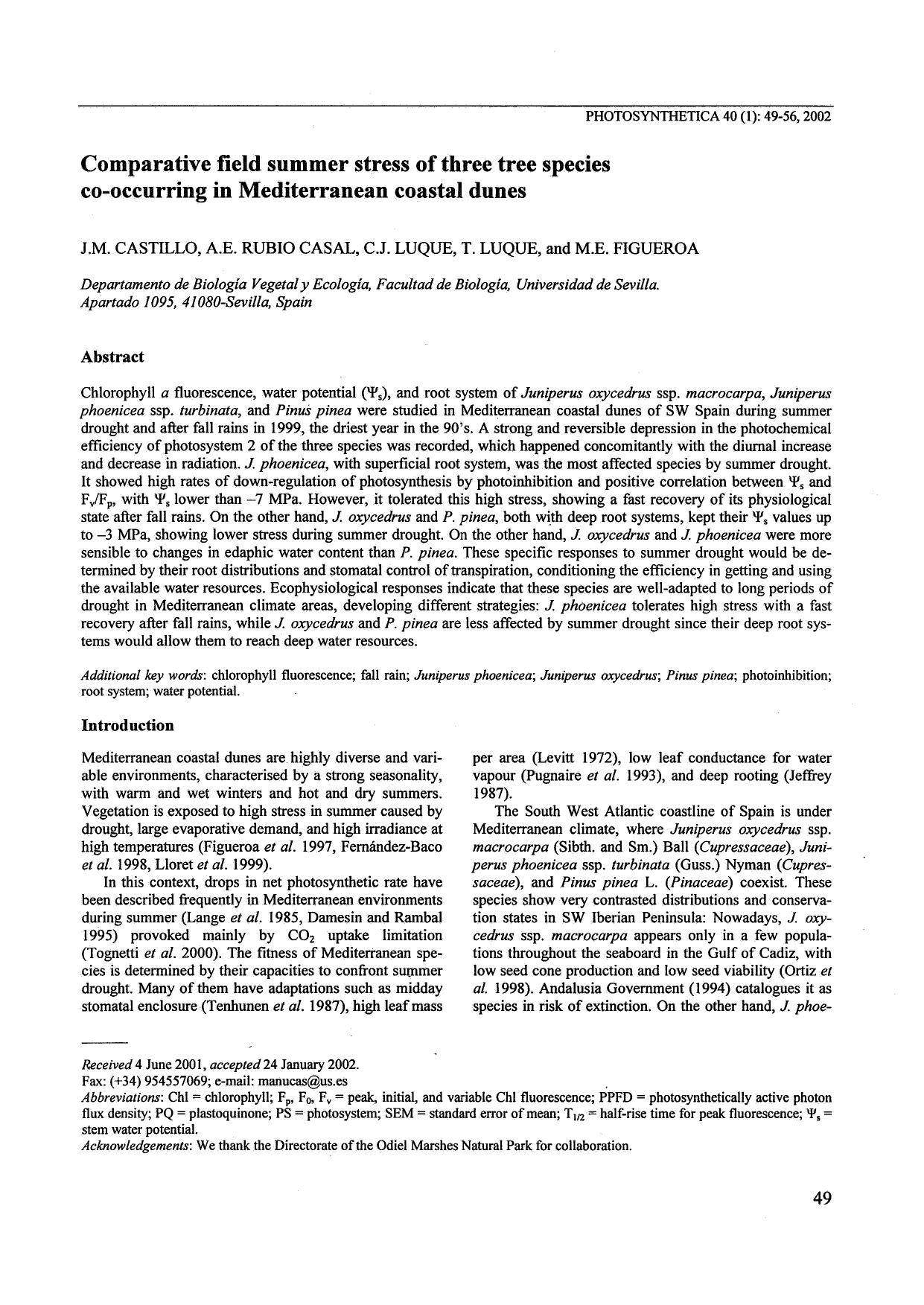 Comparative Field Summer Stress of Three Tree Species Co-occurring in Mediterranean Coastal Dunes by Unknown