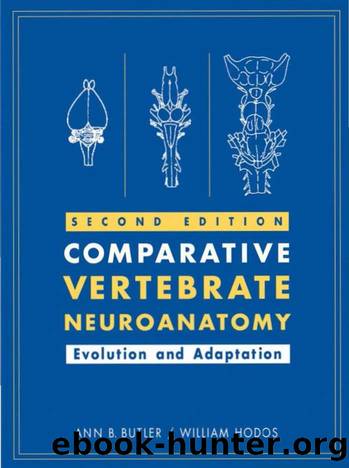 Comparative Vertebrate Neuroanatomy : Evolution and Adaptation by Butler Ann B.; Hodos William