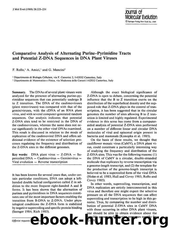 Comparative analysis of alternating purine-pyrimidine tracts and potential Z-DNA sequences in DNA plant viruses by Unknown