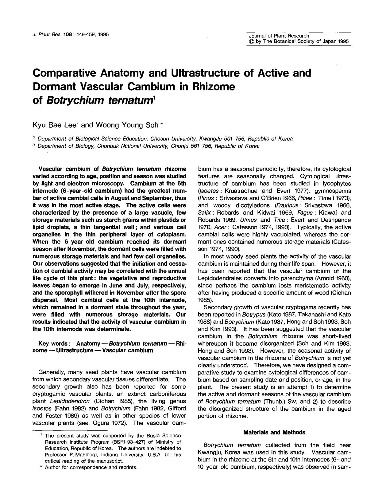 Comparative anatomy and ultrastructure of active and dormant vascular cambium in rhizome of <Emphasis Type="Italic">Botrychium ternatum <Emphasis> by Unknown
