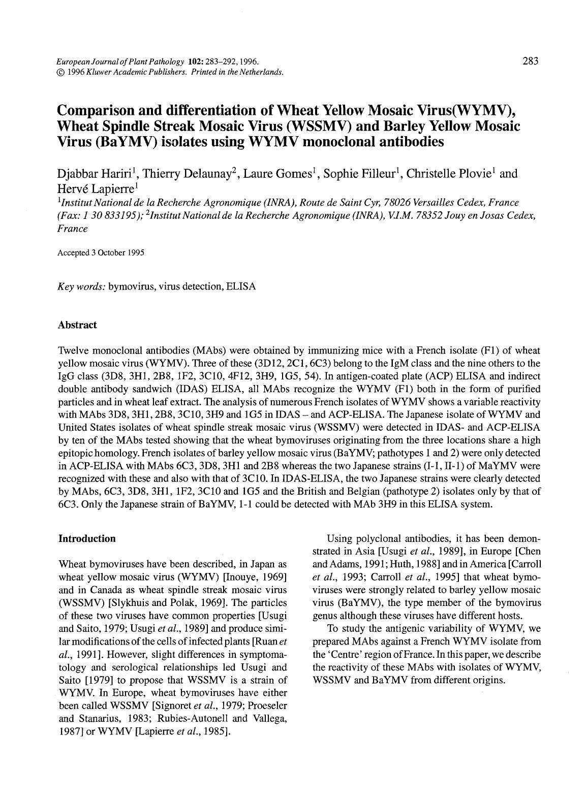 Comparison and differentiation of Wheat Yellow Mosaic Virus(WYMV), Wheat Spindle Streak Mosaic Virus (WSSMV) and Barley Yellow Mosaic Virus (BaYMV) isolates using WYMV monoclonal antibodies by Unknown