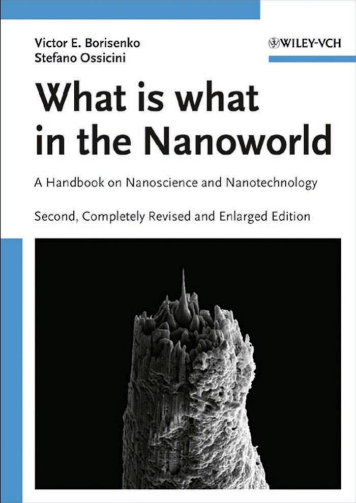 Competing Interactions and Pattern Formation in Nanoworld by Victor E. Borisenko Stefano Ossicini