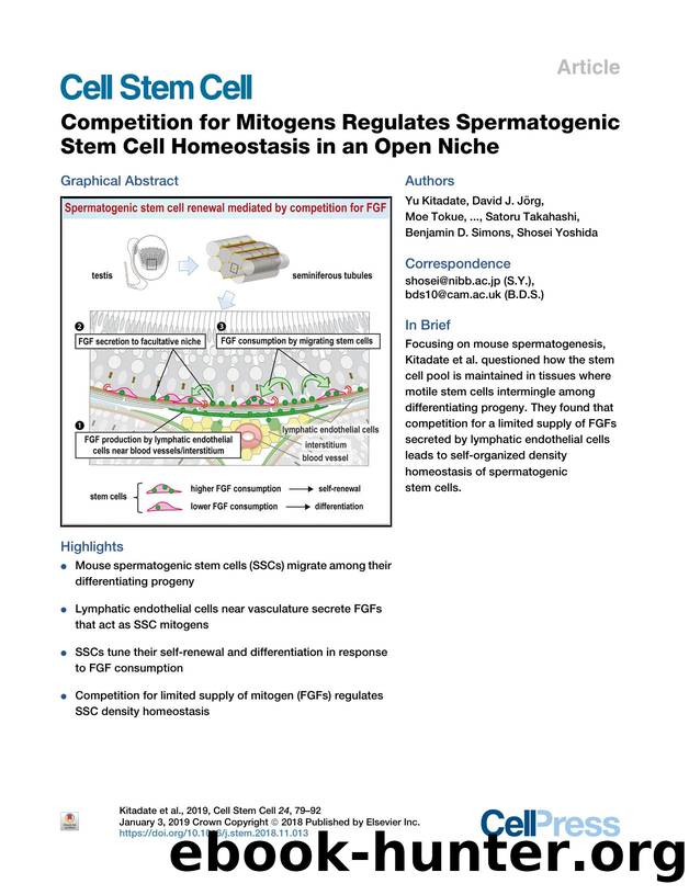 Competition for Mitogens Regulates Spermatogenic Stem Cell Homeostasis in an Open Niche by unknow