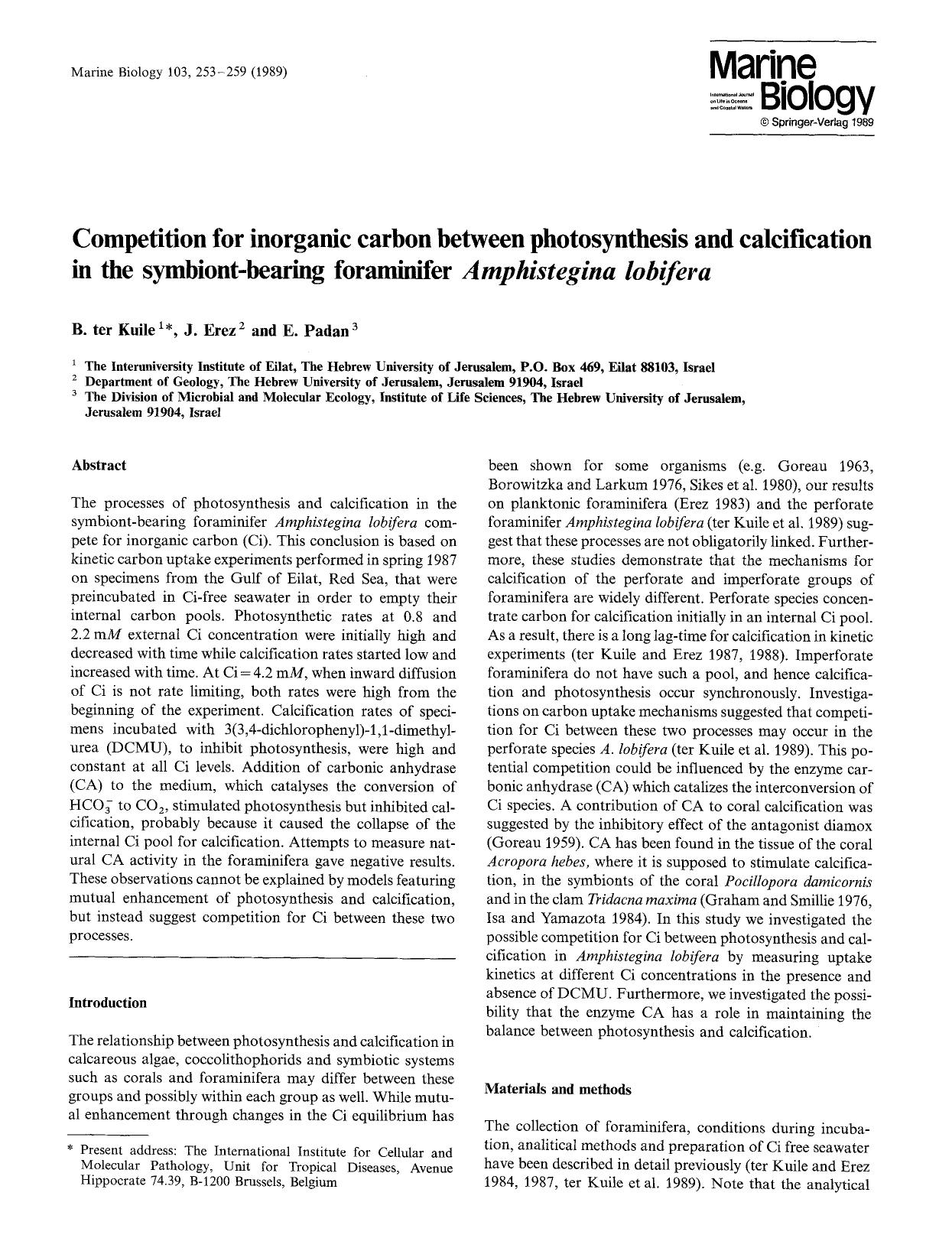 Competition for inorganic carbon between photosynthesis and calcification in the symbiont-bearing foraminifer <Emphasis Type="Italic">Amphistegina lobifera<Emphasis> by Unknown