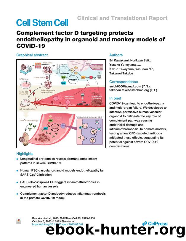 Complement factor D targeting protects endotheliopathy in organoid and monkey models of COVID-19 by unknow